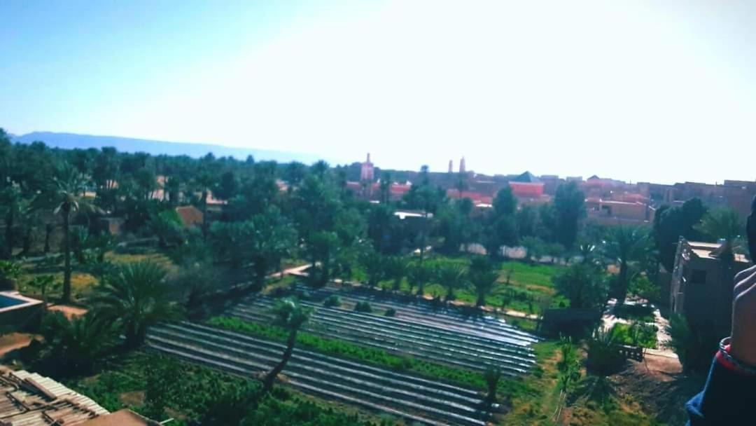 D'Hote Jnane-Dar Diafa Tamgrout Dış mekan fotoğraf